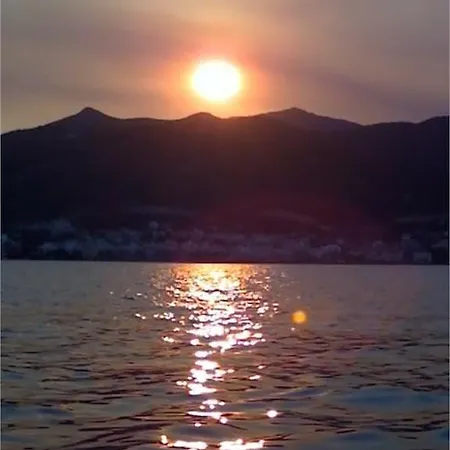 Veneti